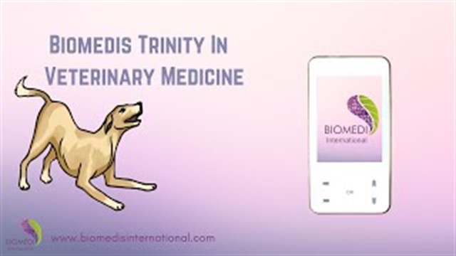 How Trinity can help your pet's health